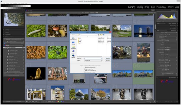 Synchronize Lightroom catalog via katalog export