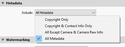 Controlling metadata with Lightroom