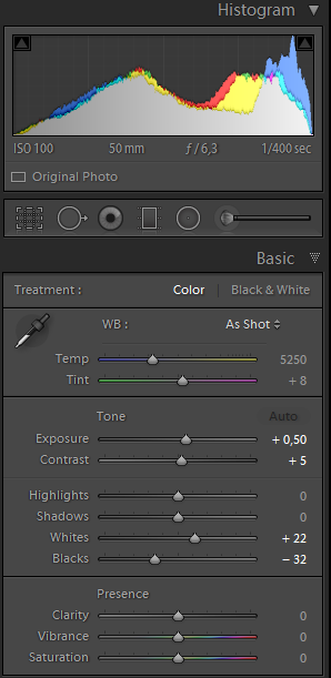 Lightroom presets as a starting point for your processing