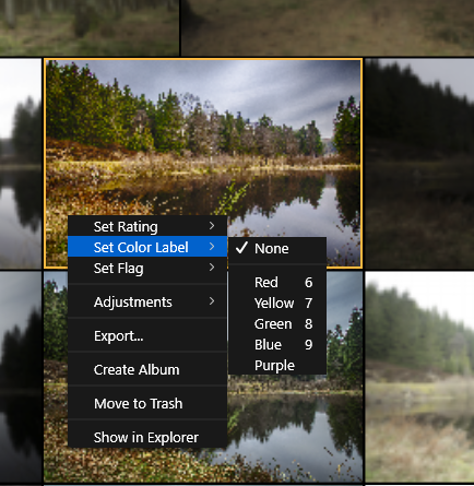 Luminar 3 with libraries