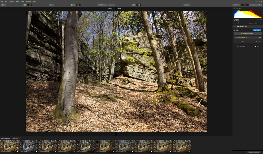 Luminar 3.1.0 with Accent AI 2.0 Filter
