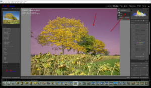 Adobe releases AI masking function in Lightroom