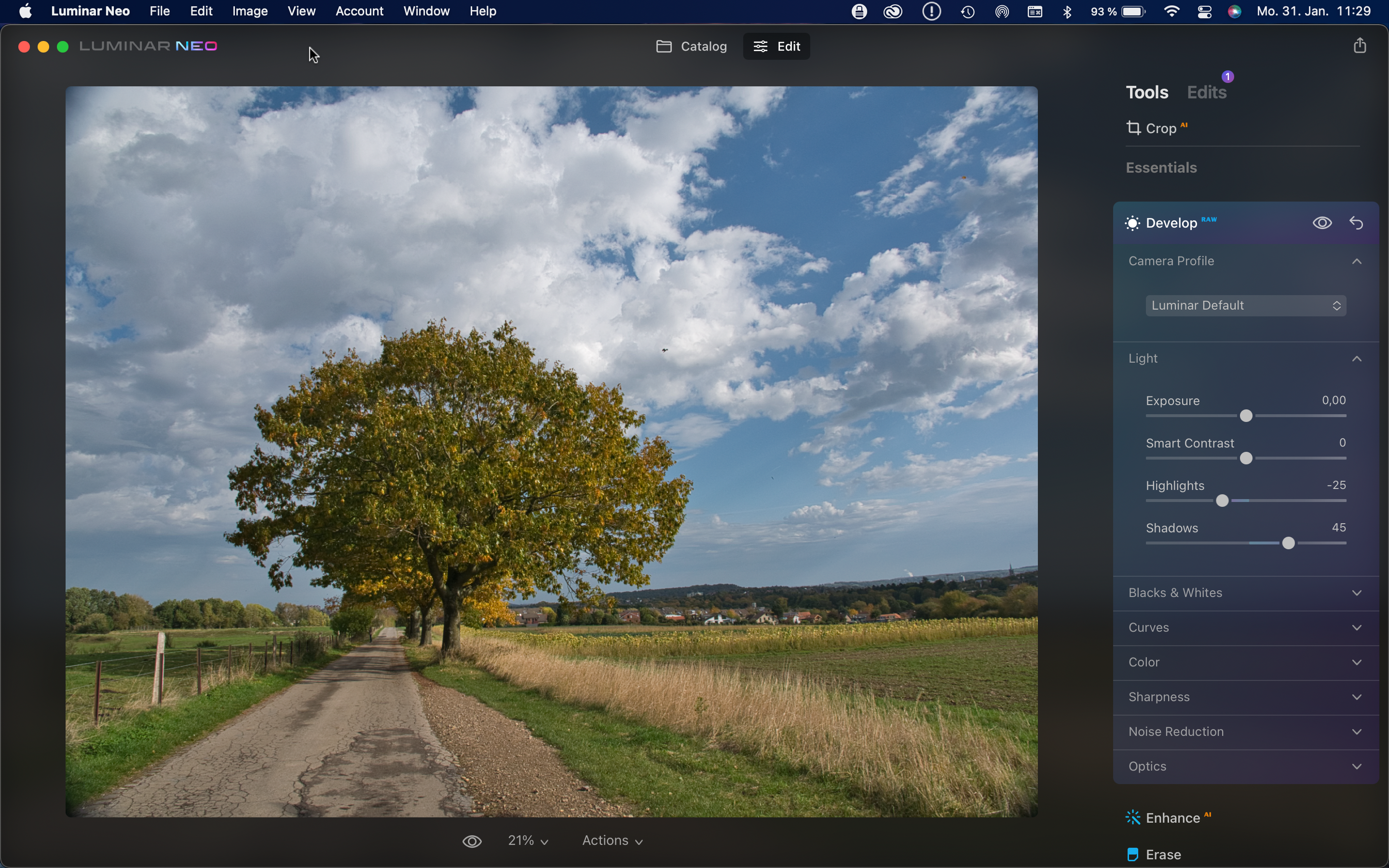 RAW processing with Luminar NEO Early Access Update 2