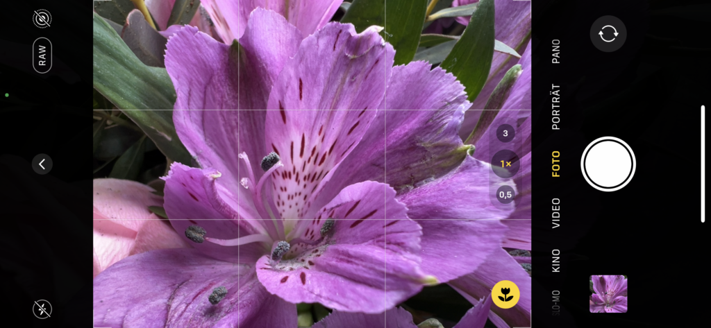 Macro photography with the iPhone - My Blog