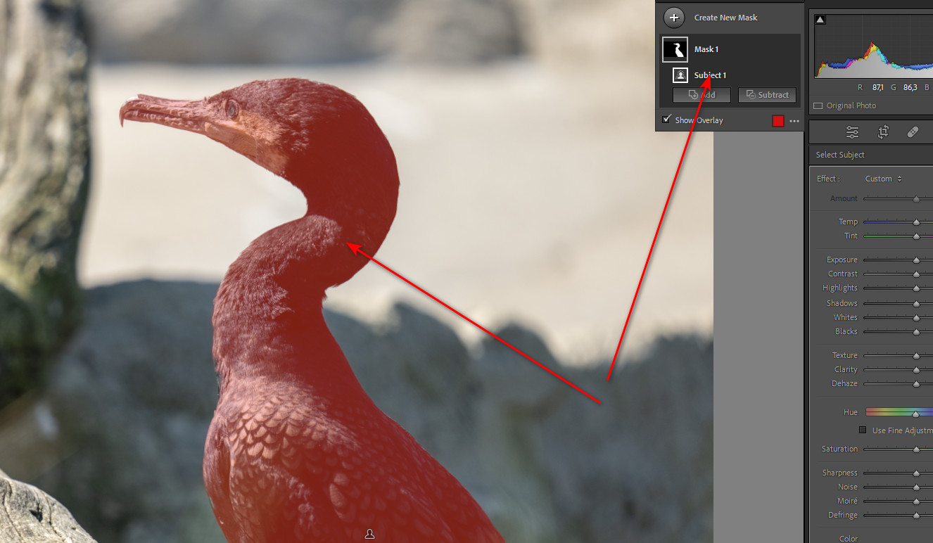 Lightroom Classic 12.0 and Photoshop CC 24.0 released
