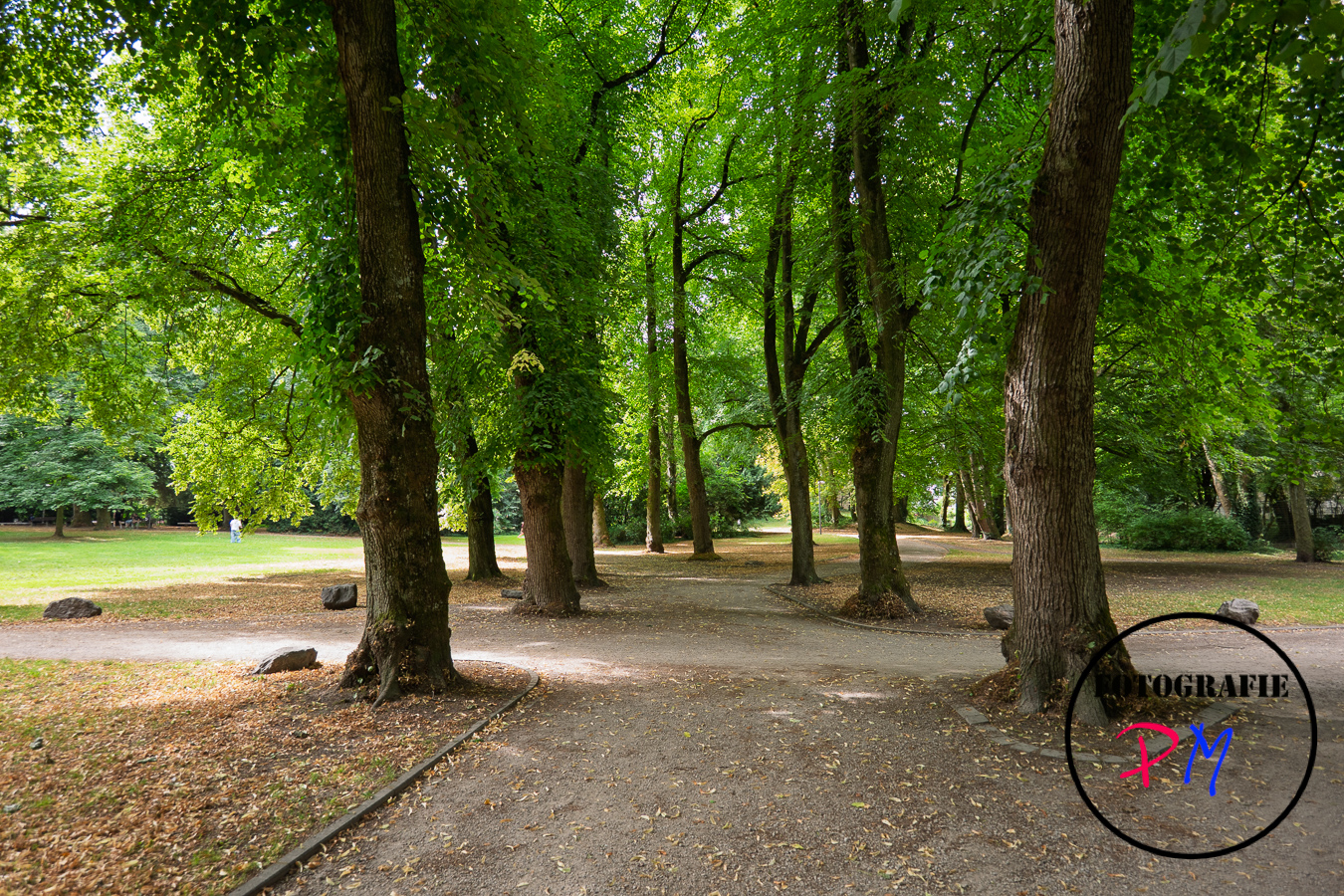 Last week review 49-2025