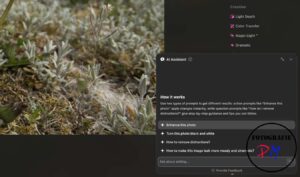 Luminar NEO Bildbearbeitung mit AI-Unterstützung