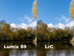 Last week review 13-2026