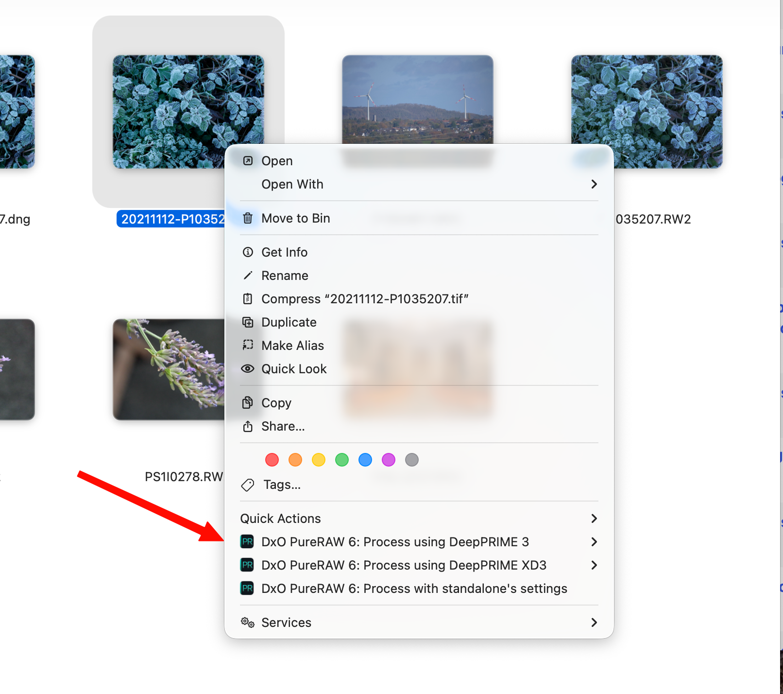 DXO PureRAW 6 – not only for denoising images